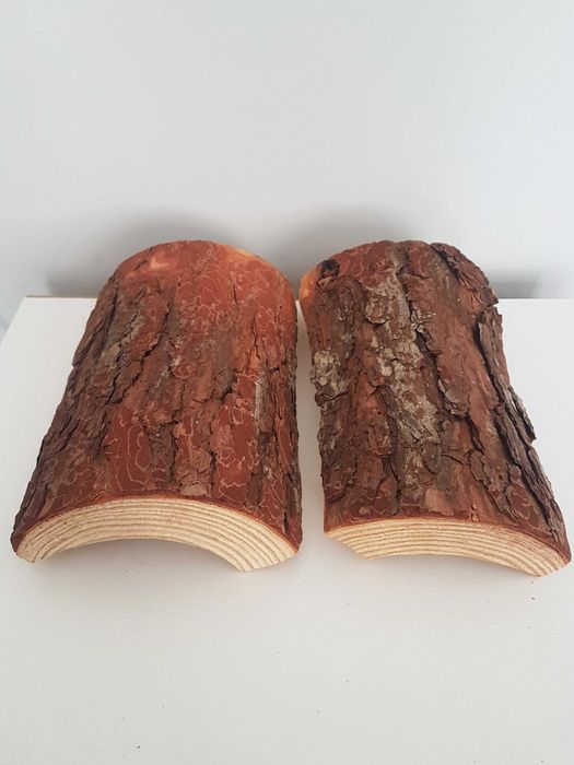 Drewniany tunel dla chomika gryzoni gadów naturalny uszkodzony