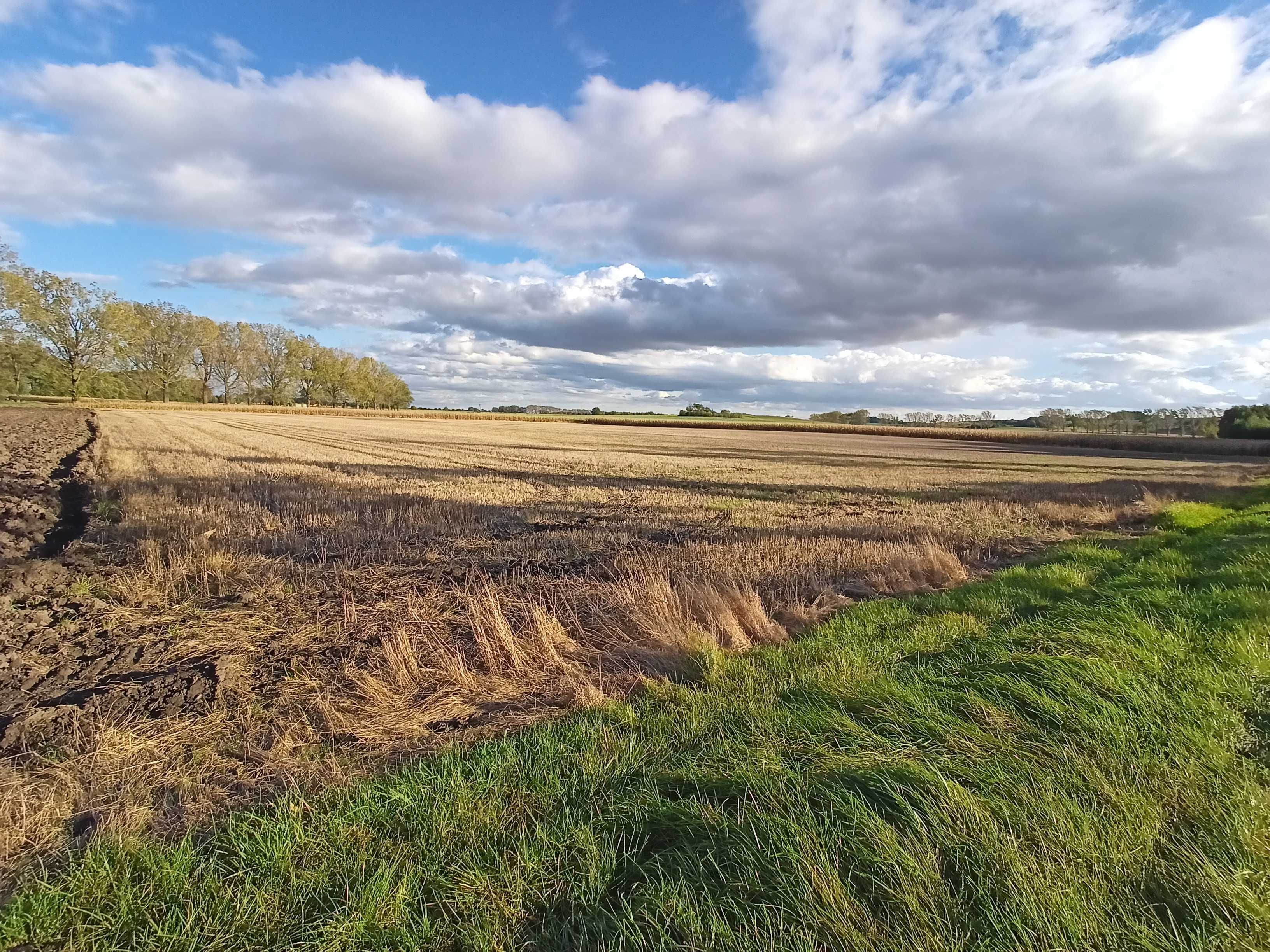 Działka inwestycyjna 1,9 ha MPZP 3P/U produkcyjna usługowa magazynowa