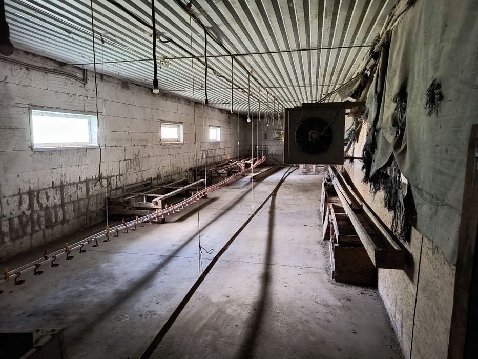 Ферма для вирощування птиці.