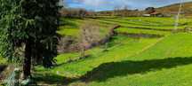 Terreno  para venda