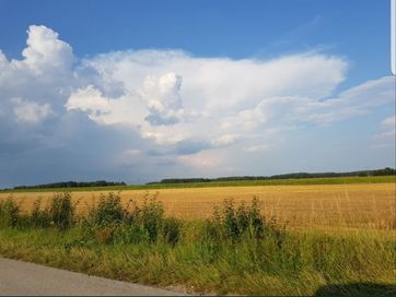 Działka budowlana Wiśnicz gmina Małogoszcz