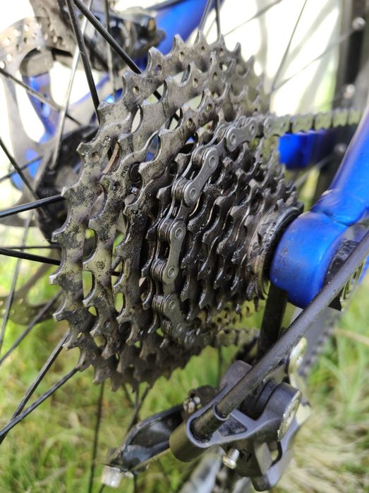 Dartmoor Hornet 2022