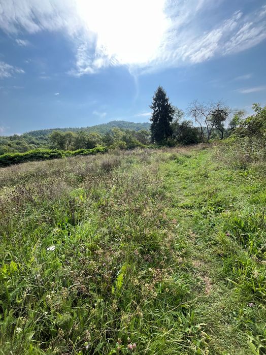 Продаж земельної ділянки