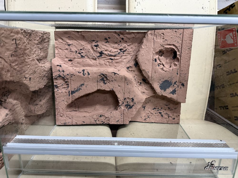 Scianka do terarium