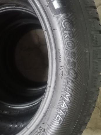 Пара покрышки Michelin Cross Climate 215/55/17