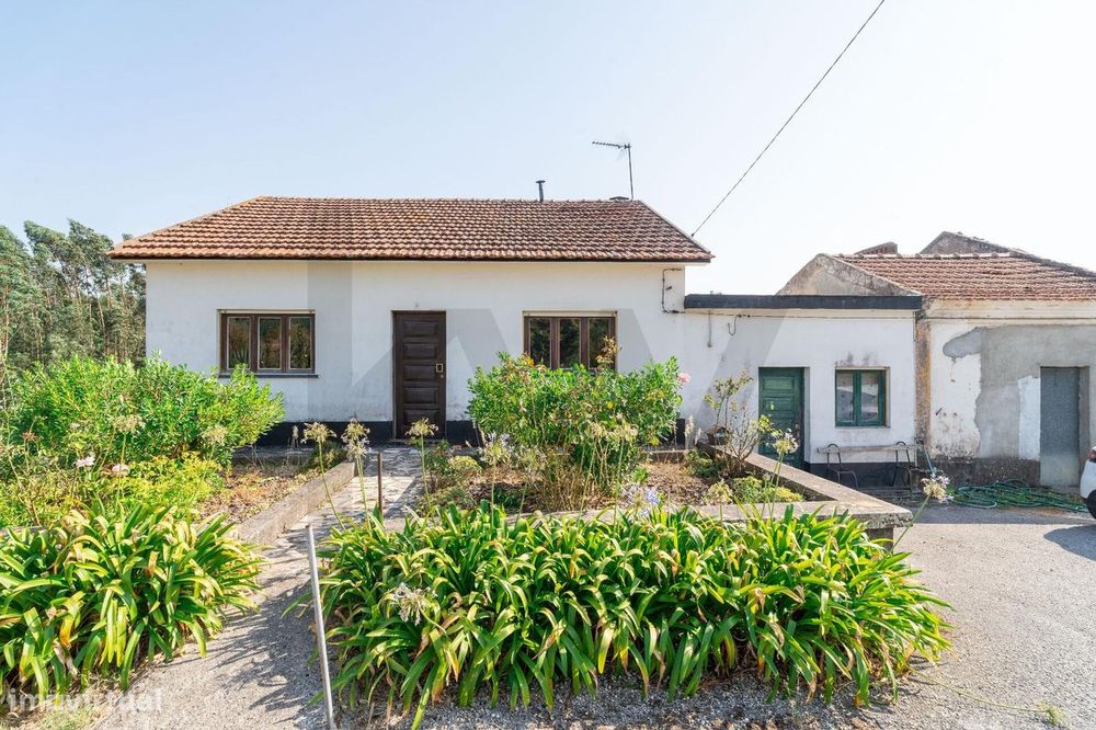 Moradia T4 com terreno e cave - Alagoa, Soure