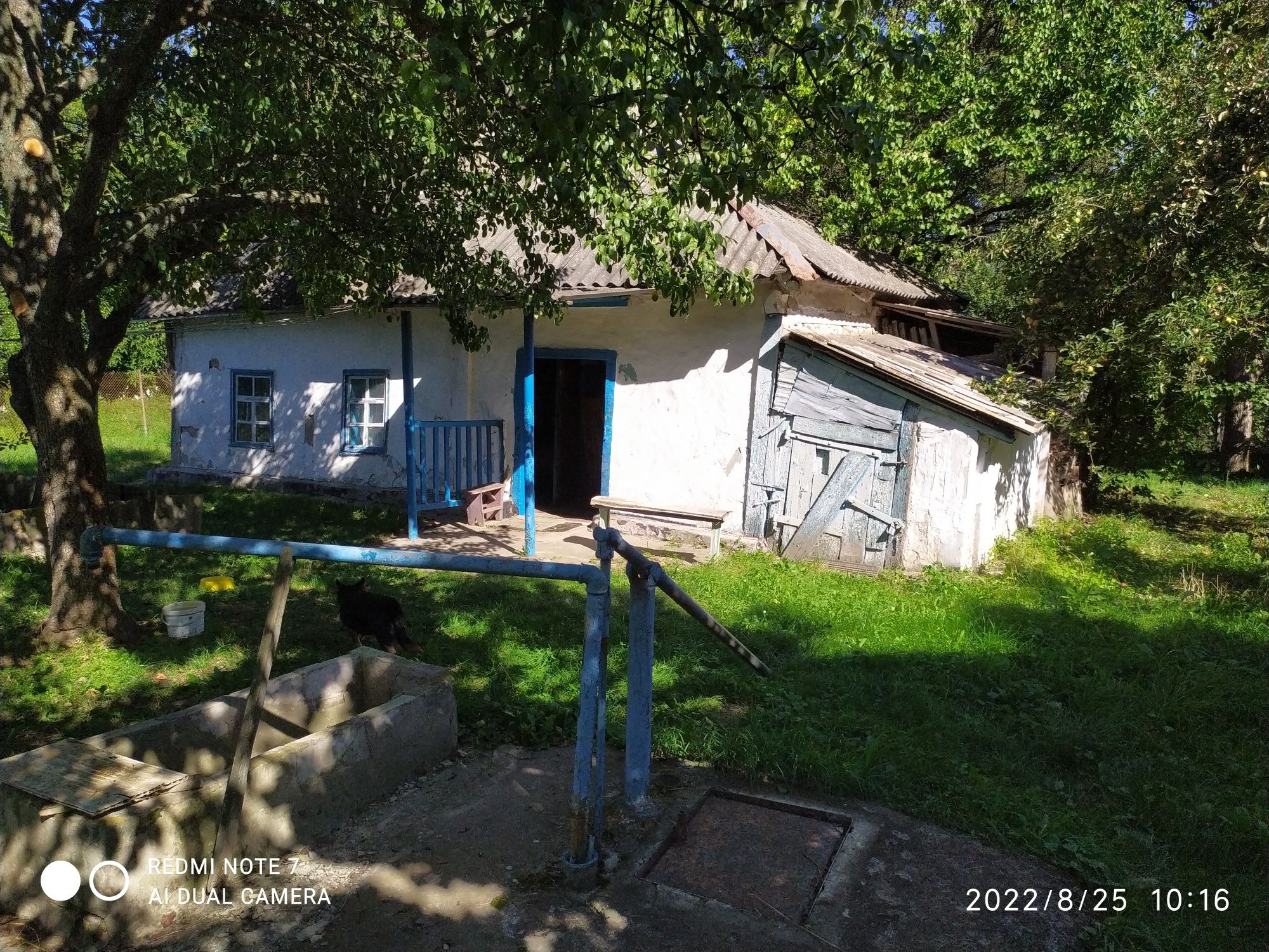 Продам дом в селе Малая Старица Бориспольский район Киевская область.