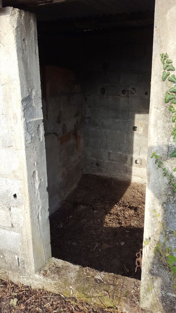 Casa 85m² com terreno 1600m² – Travanca, Cinfães (35.000€ negociável)
