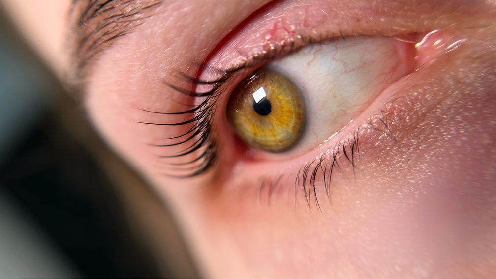 Фарбування ламінування корекція брів