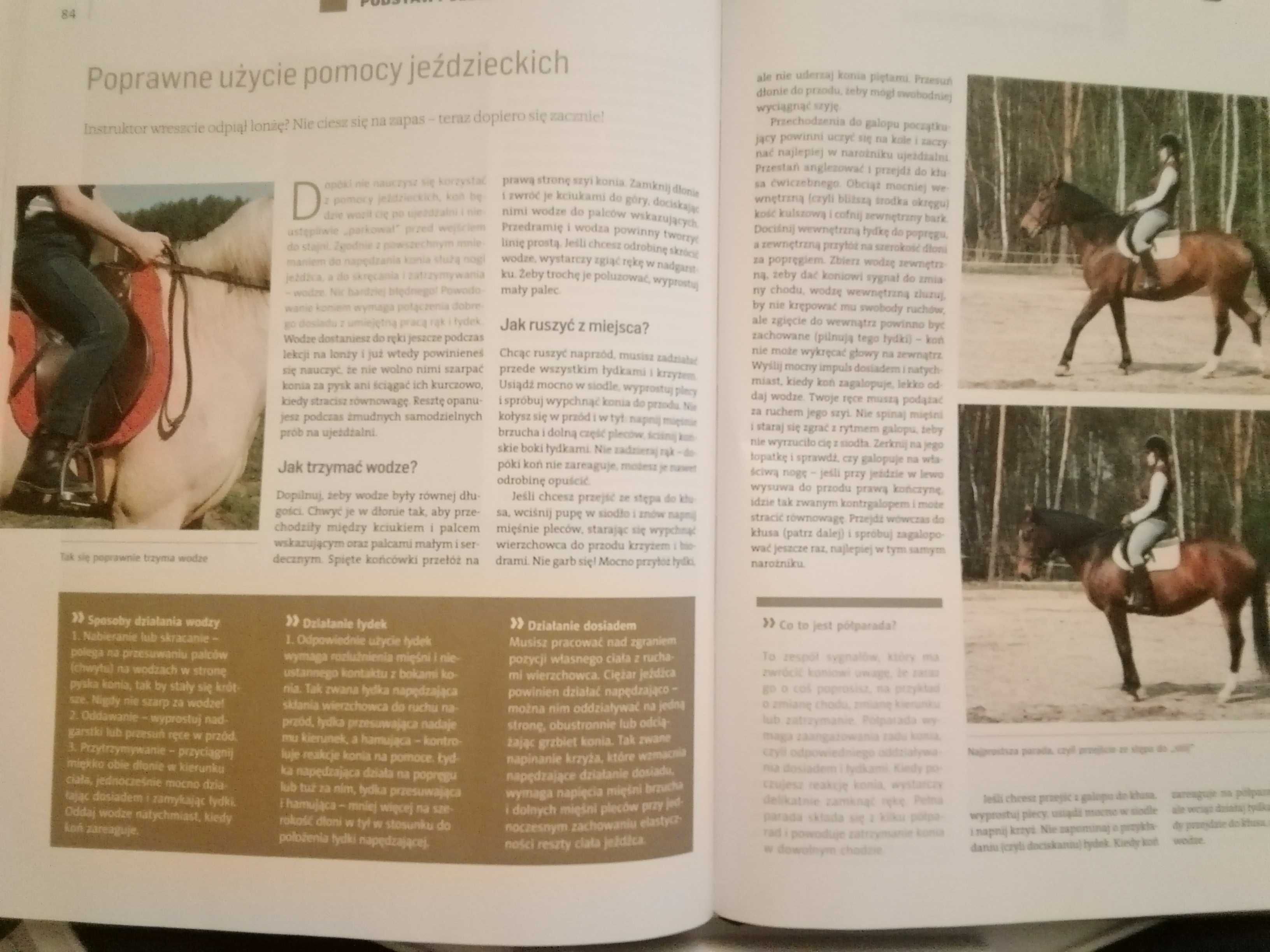 ABC jeździectwa Dorota Kozińska