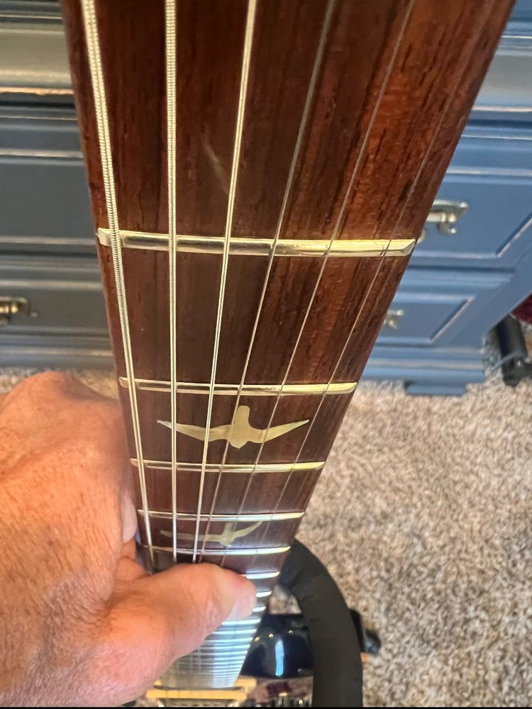 PRS Custom 24 1989 Brazilian 10 Top Pre-factory