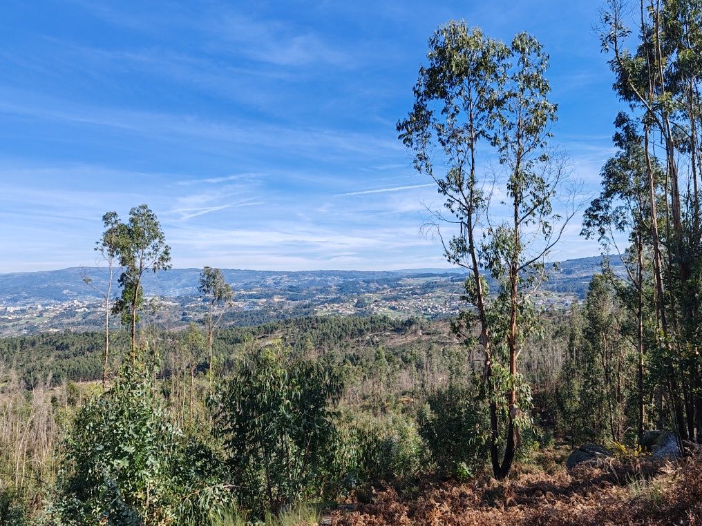 Terreno Florestal Mount Paradise
Stunning view