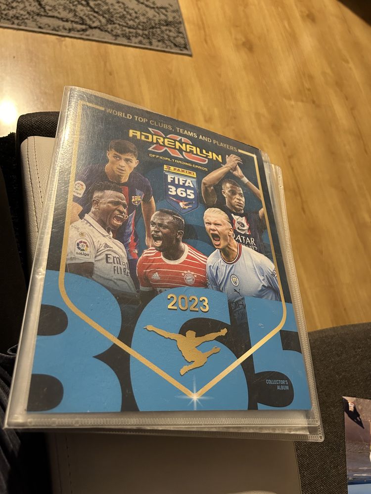 Album piłkarski FIFA 365