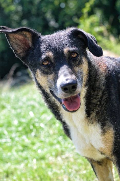 Roxi czeka na Ciebie