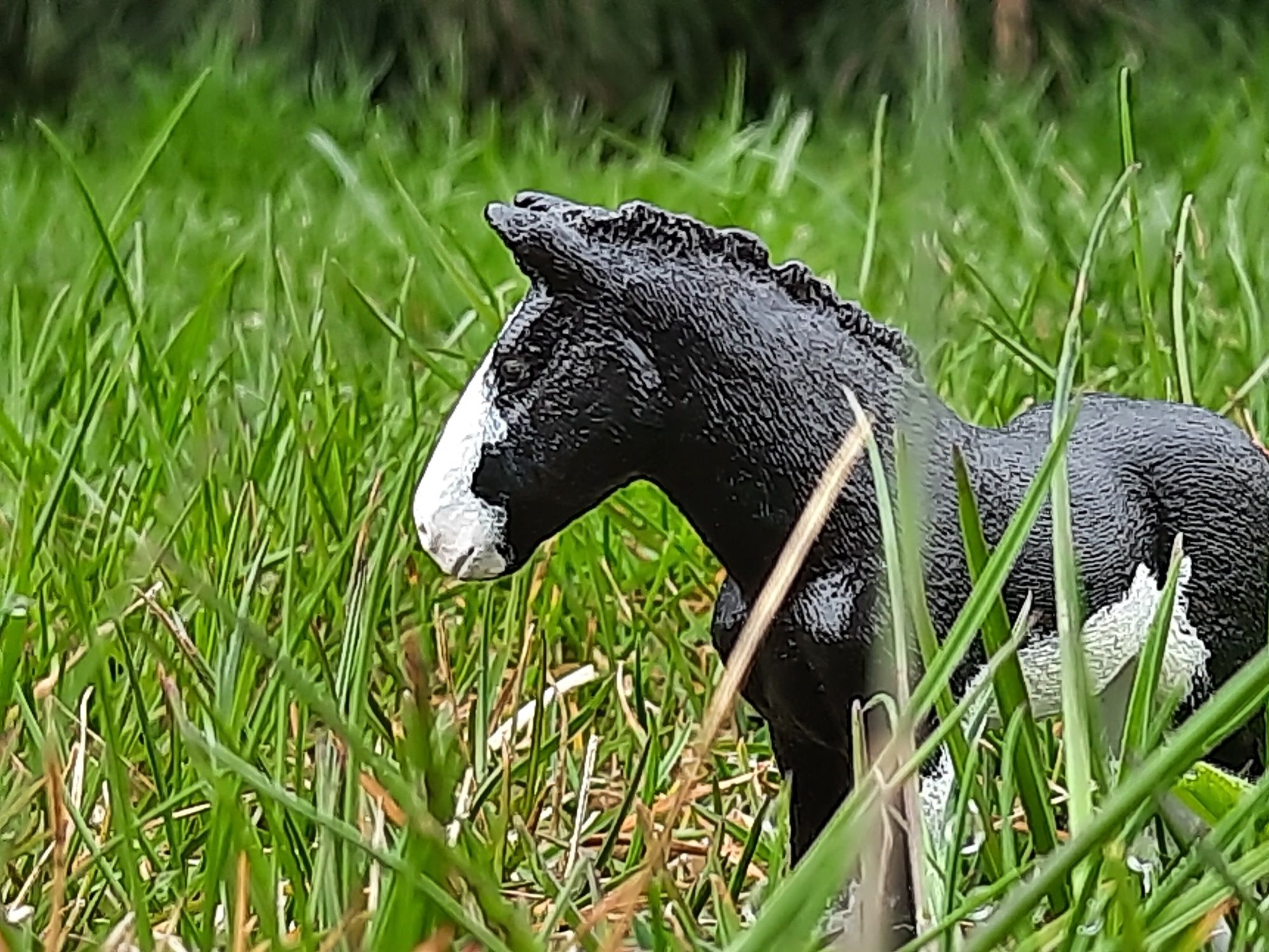 Castom koń modelu schleich rasy cyrdlase