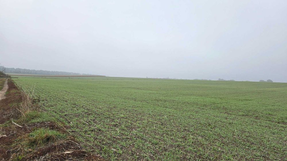 Продам ділянку в  селі Лаврівка 9052