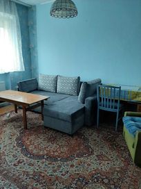 Wygodny ciepły pokój dla pracującego pana bez nałogów Bydgoszcz Wyżyny