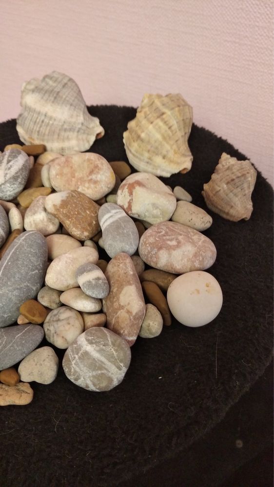 Морські камінці для акваріуму