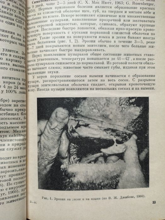 Инфекциозние болезни крупного рогатого скота