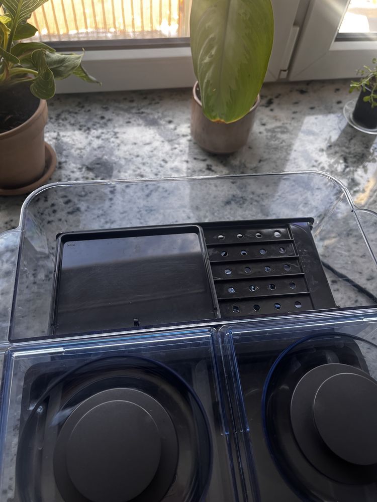 Parowar Morphy Richards
