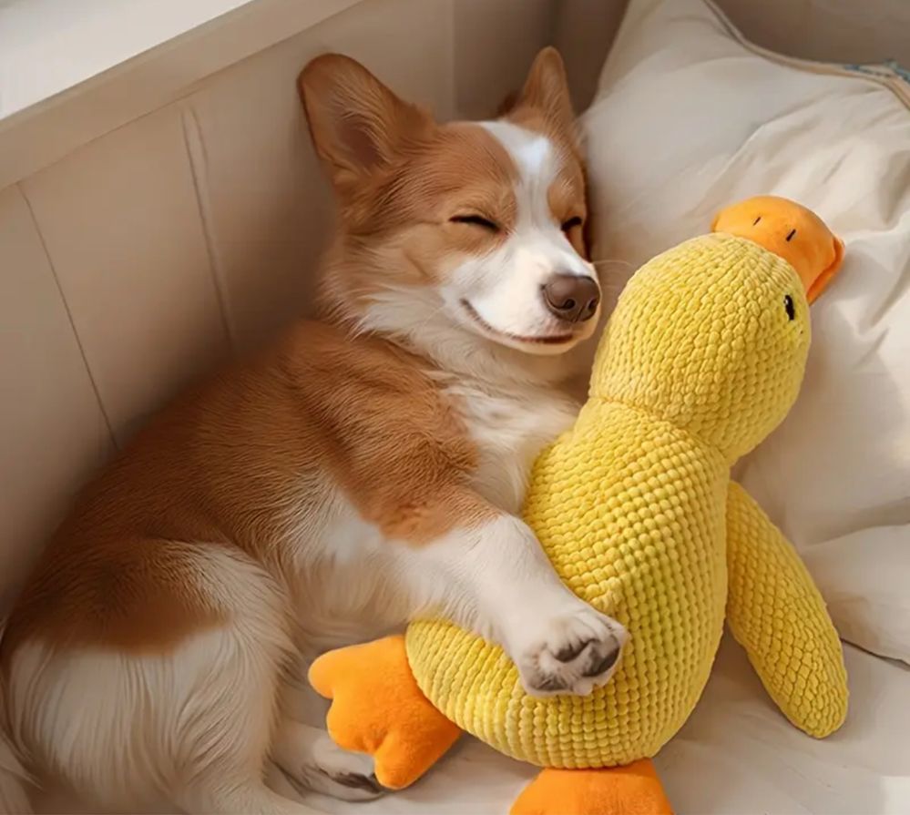 Brinquedo para animais