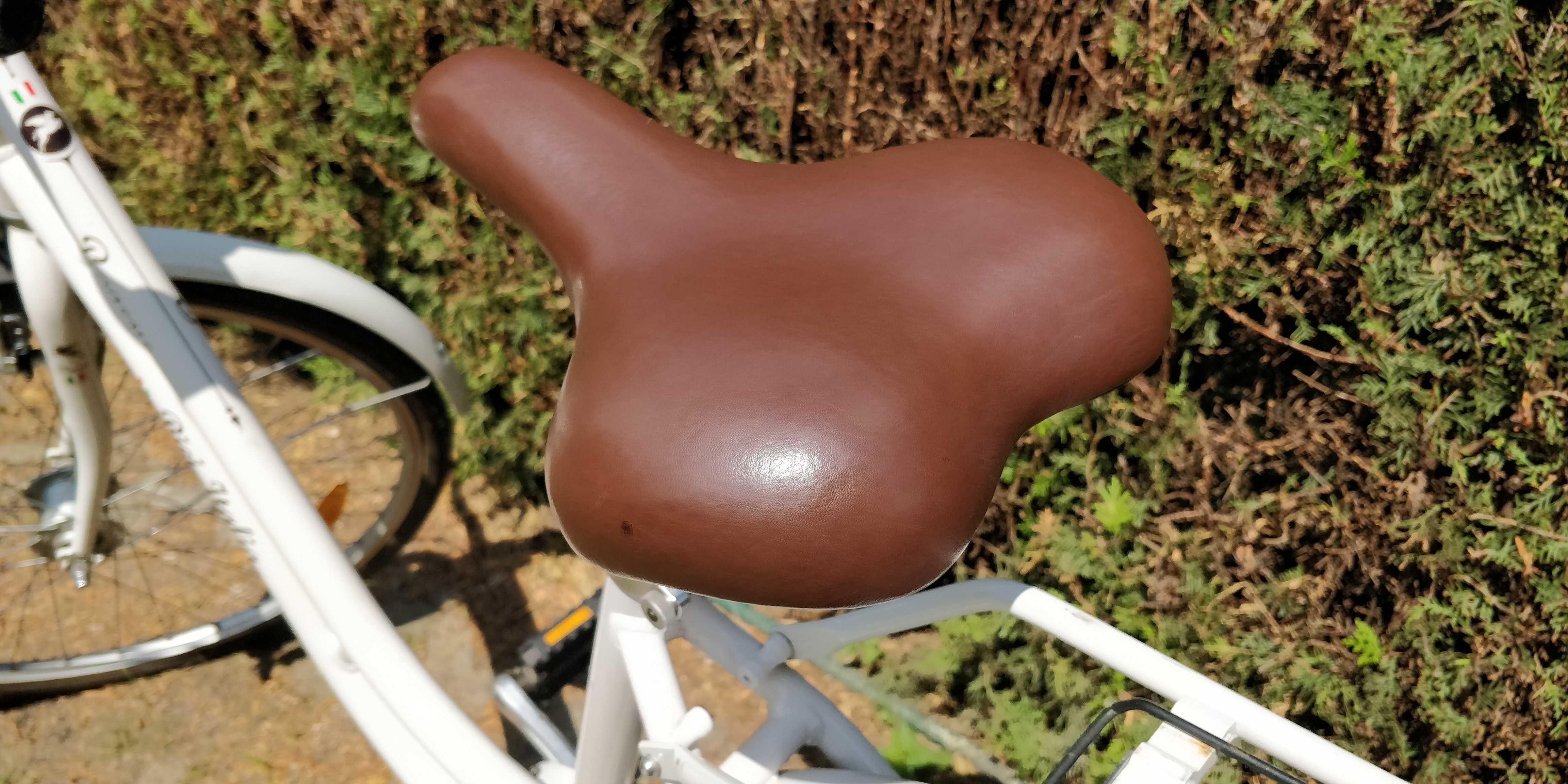 Rower - oryginalny Pegasus