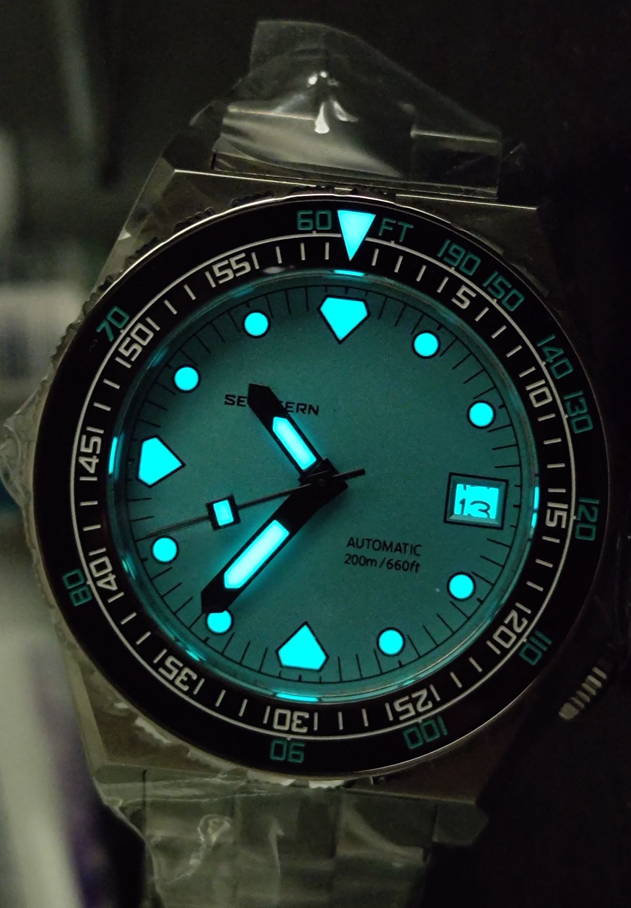 Seestern homage doxa nowy