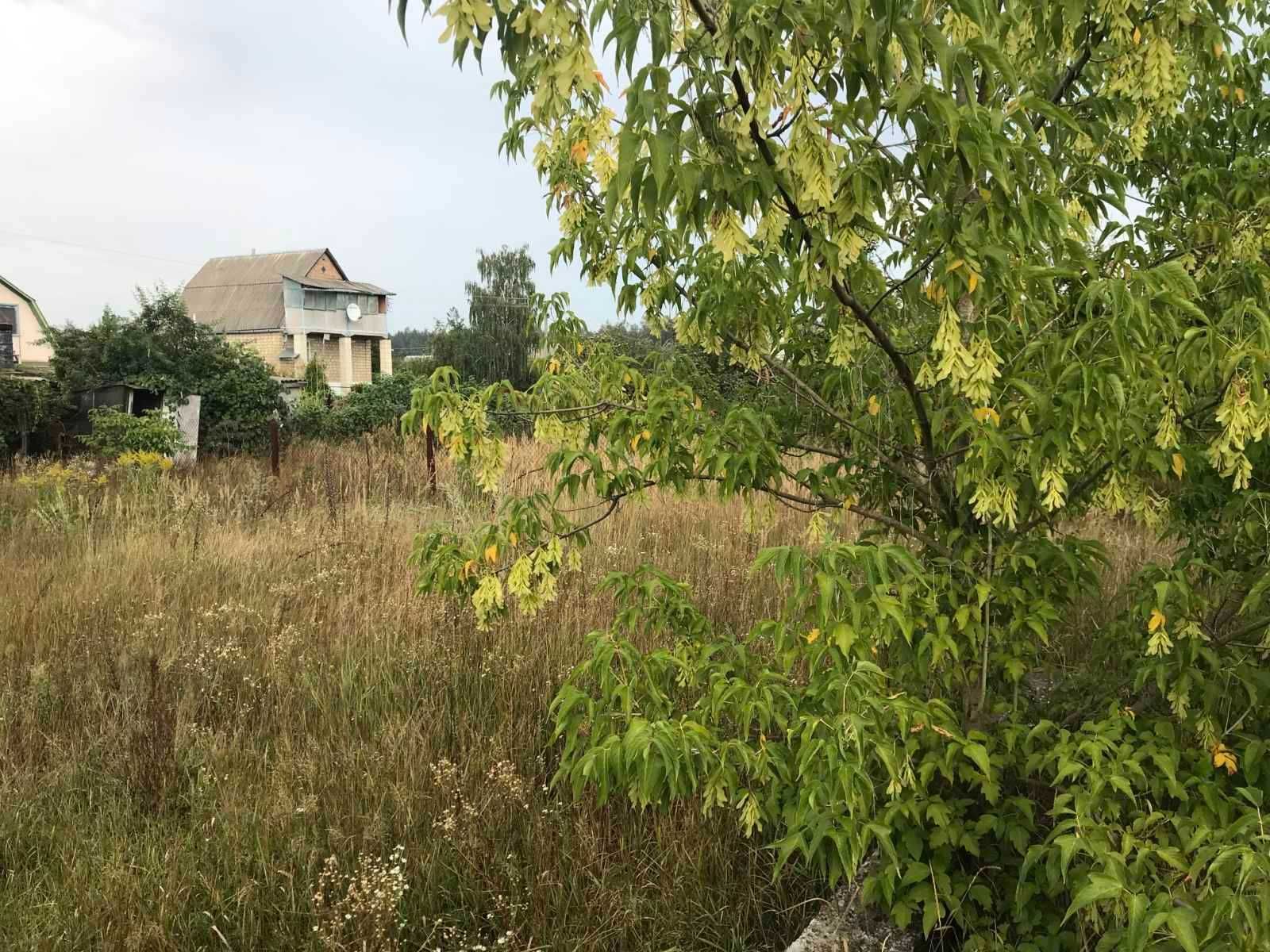 Продаж земельної ділянки. Пилиповичи.