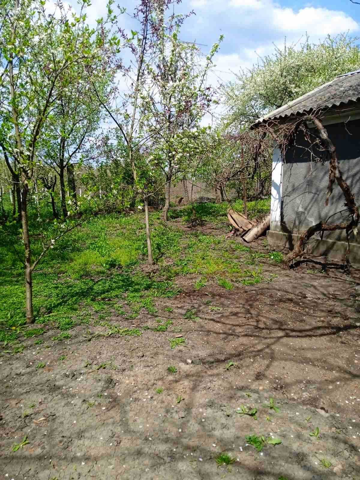Продам будинок в с. Міцівці