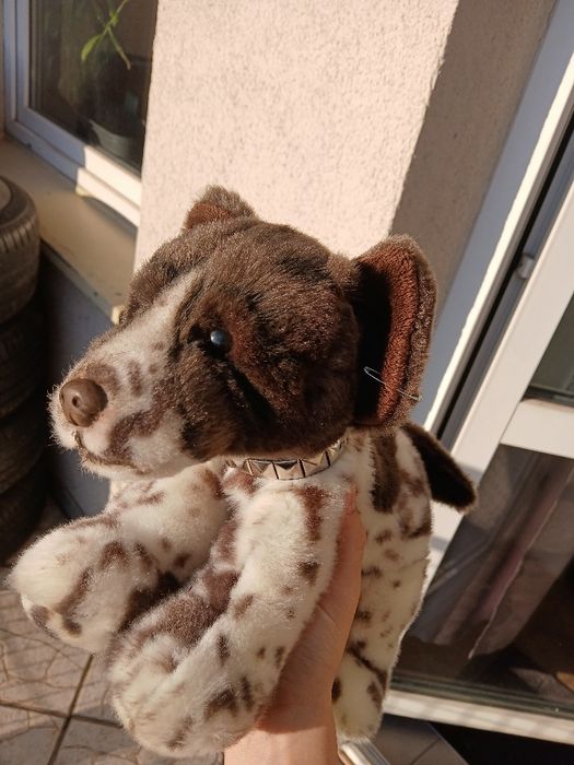Pluszowy piesek w dobrym stanie