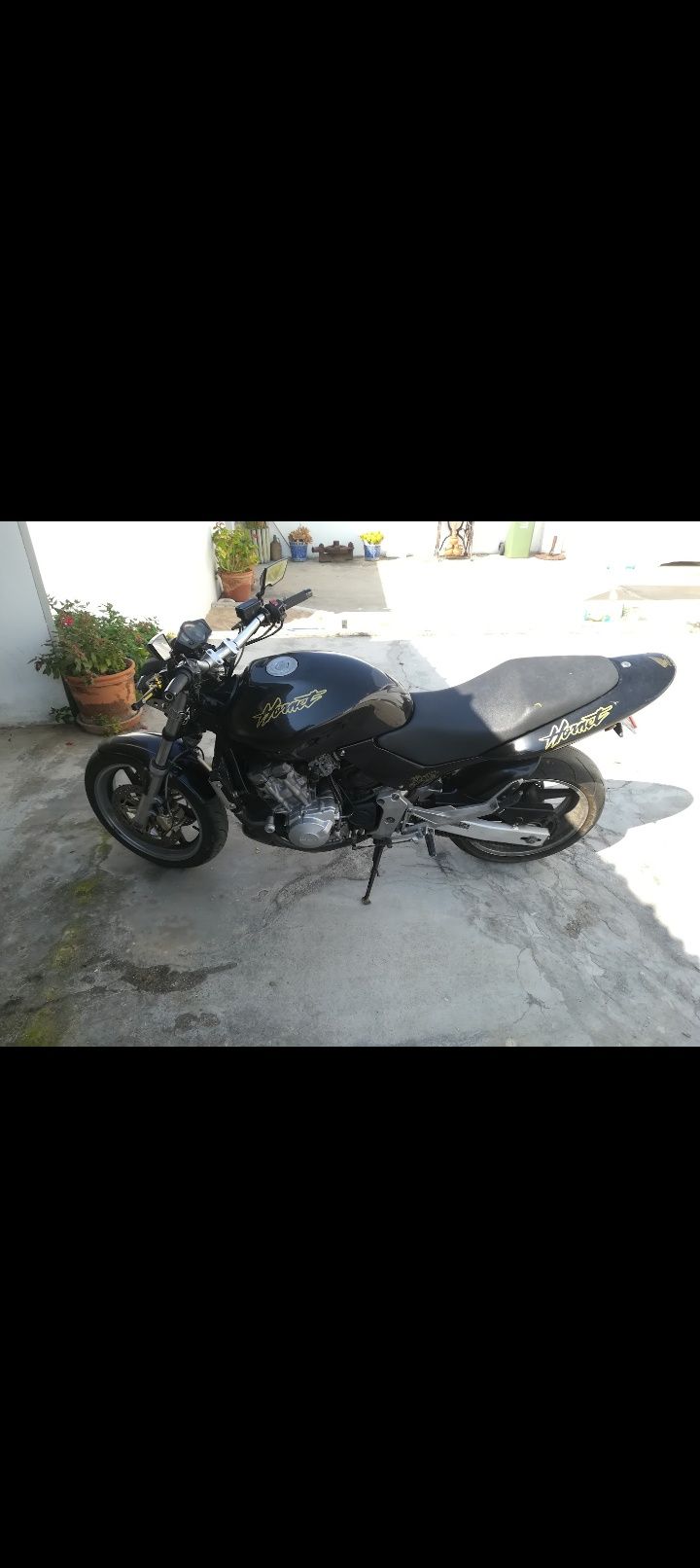 Hornet 600 67 kW