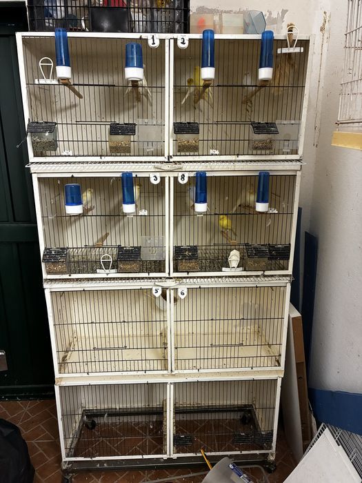 Movel se criação de aves