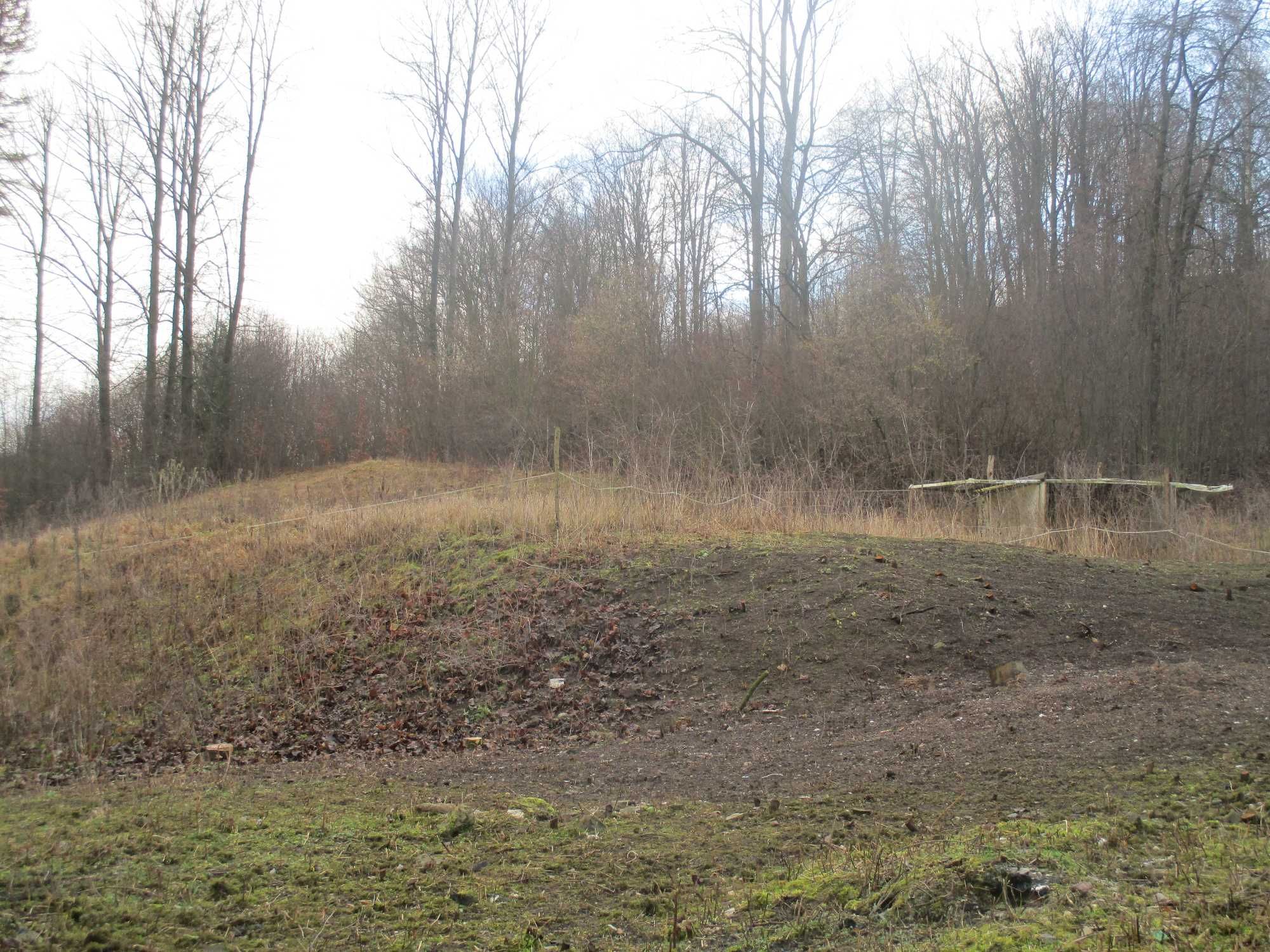 Dom z działką Jeleniów 2 km od Kudowy Zdrój