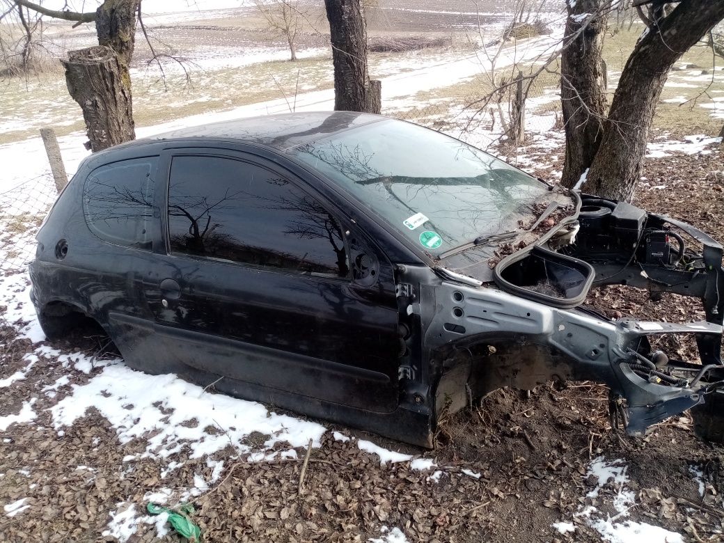 Кузов  пежо 206 peugeot 206 запчастини