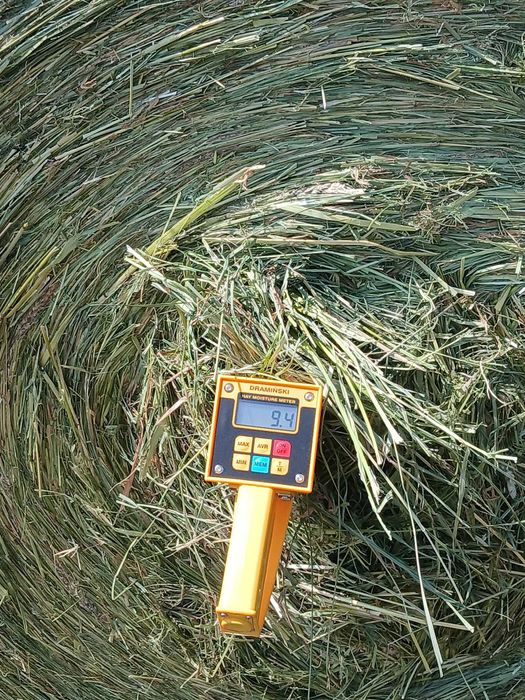 Siano PREMIUM 2025 | Certyfikat EKO | Gwarancja BEZ PLEŚNI | Badania