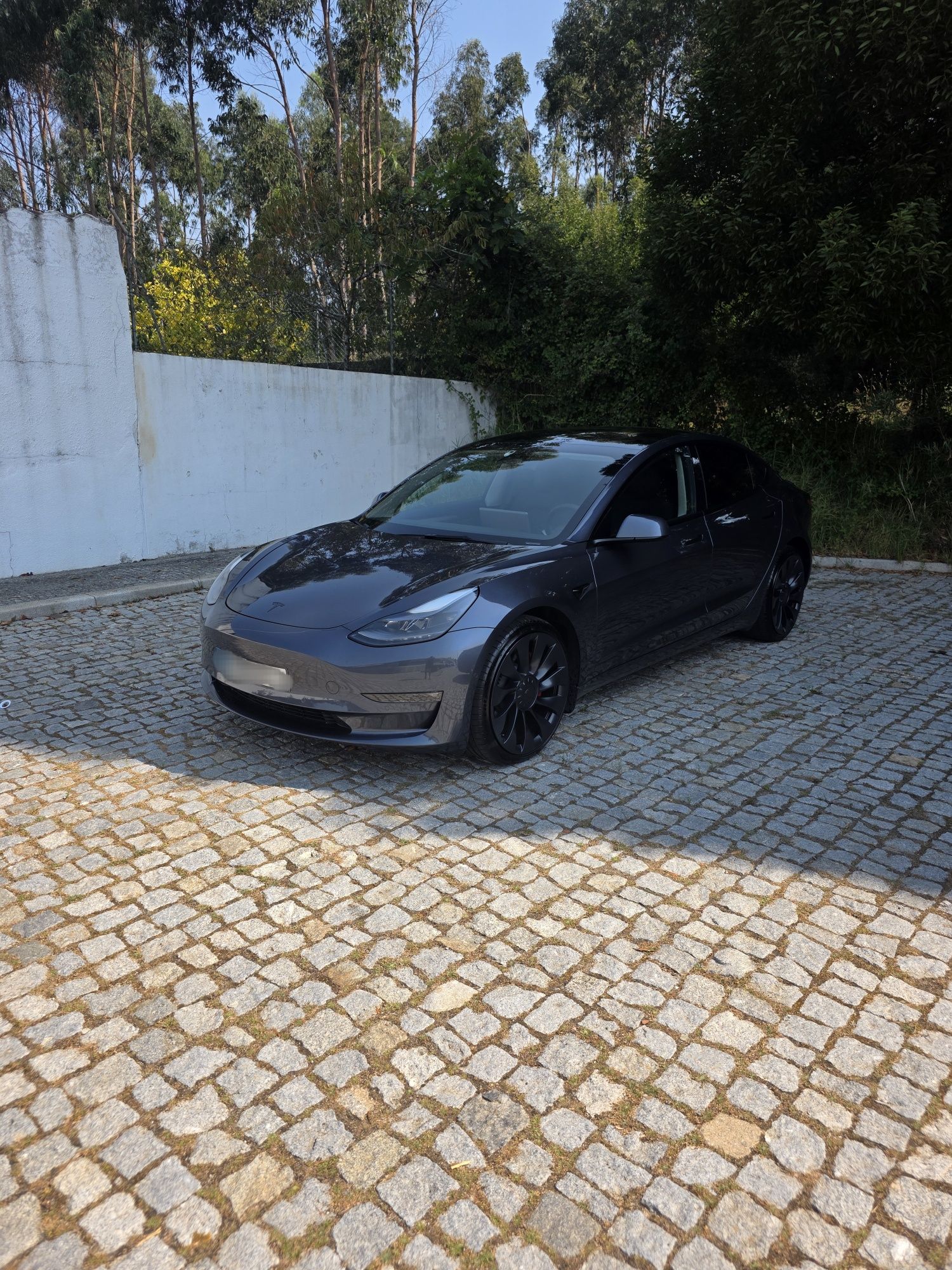 Tesla model performance