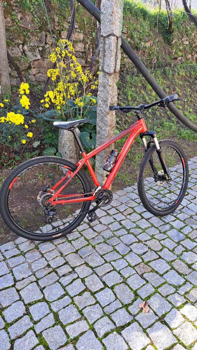 Bicicleta COLUER