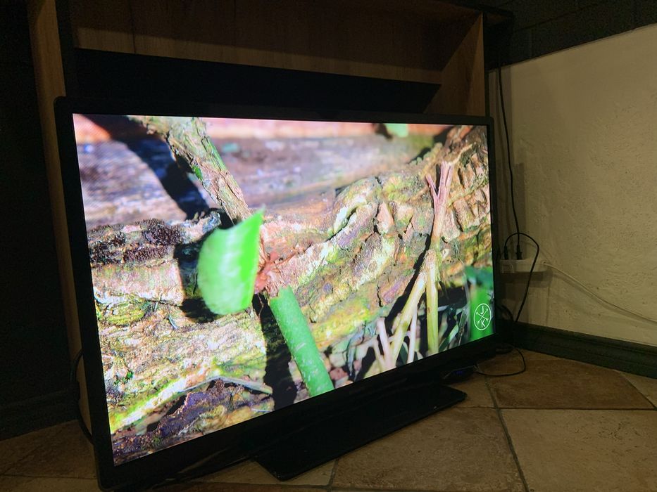 Телевізор philips 42