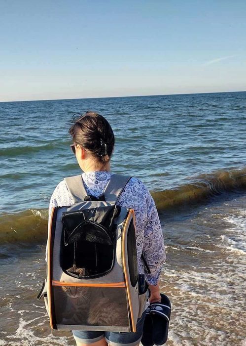 Plecak Transporter dla kota/psa – Rozkładany, design premium, NOWY