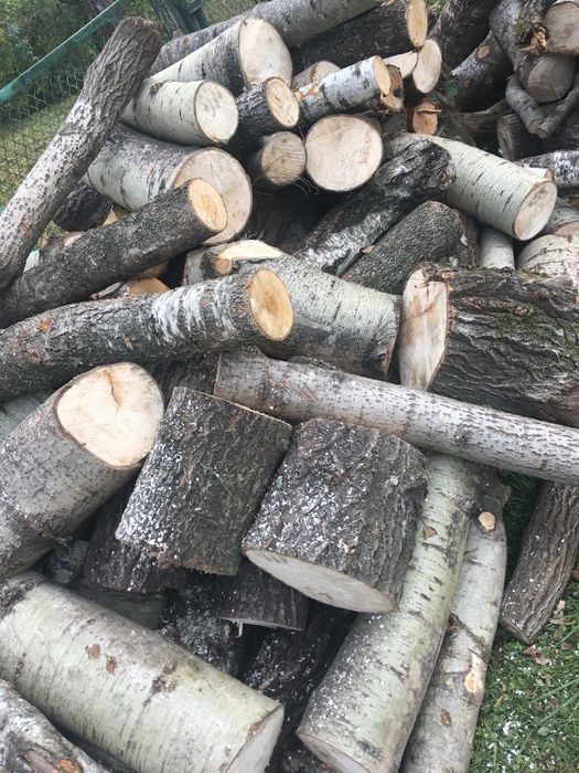 Дрова з доставкою Дрогобич