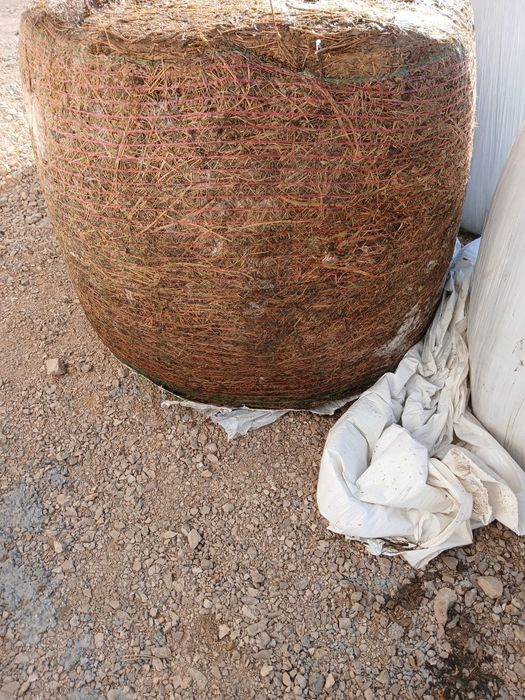 sianokiszonka z lucerny i traw