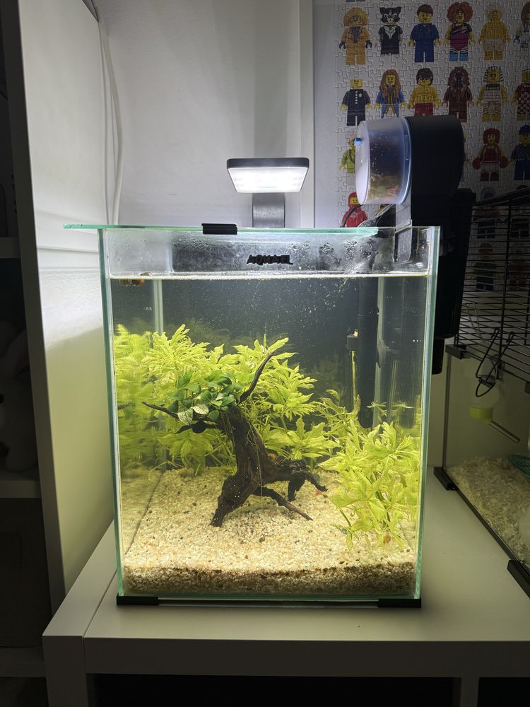 Akwarium Aquael 30 l plus dodatki
