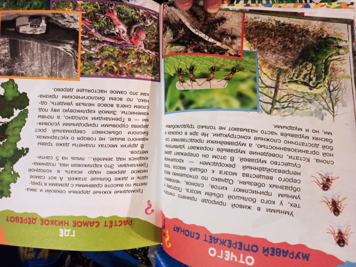 Книга "100 тысяч отчего"