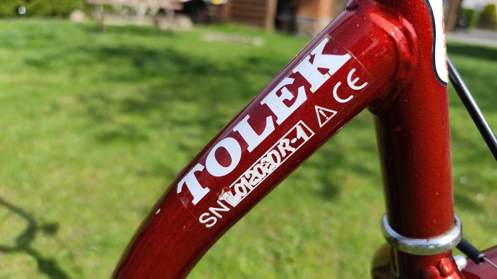 Rower TOLEK - rehabilitacyjny, trójkołowy