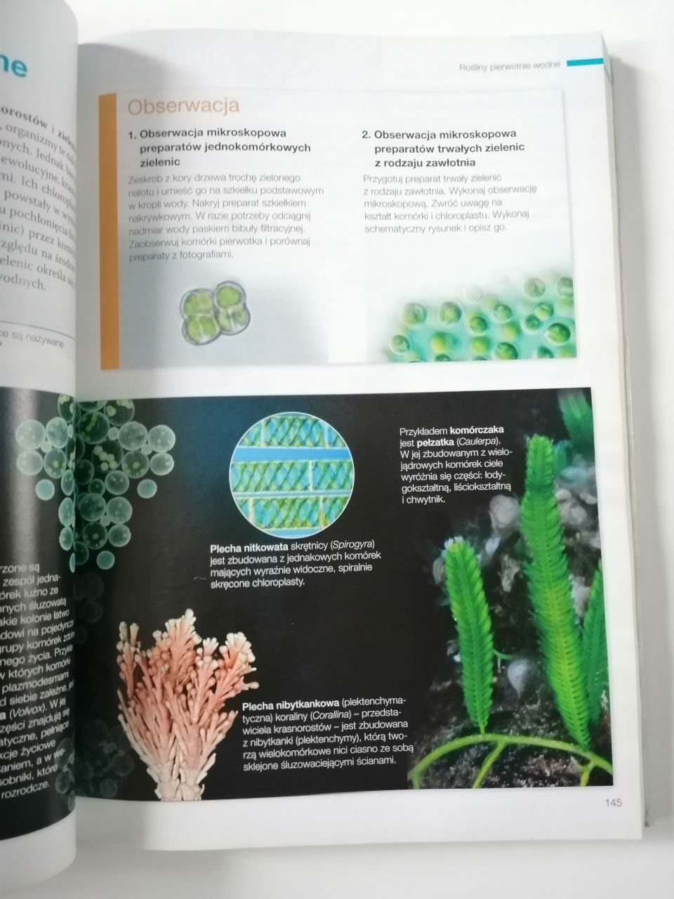 Biologia na czasie 1
