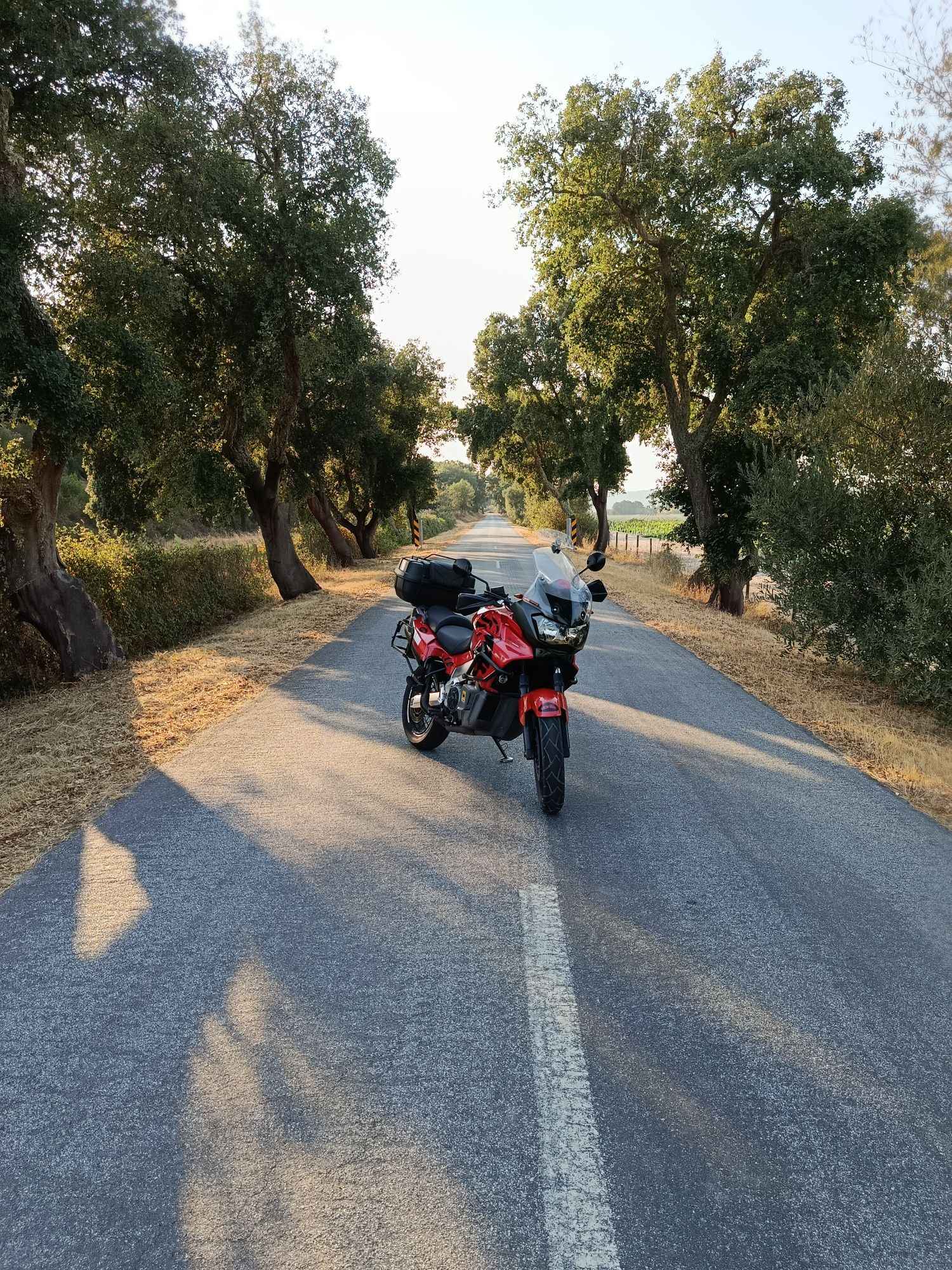 Aprilia caponord etv 1000