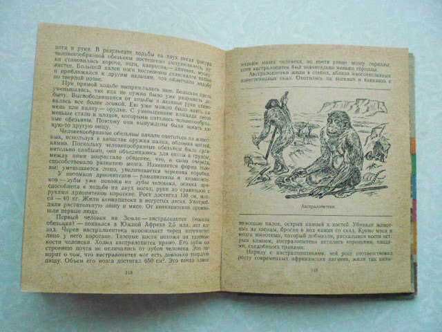 И.Б. Люрин, В.С. Уткин Как развивалась жизнь на земле