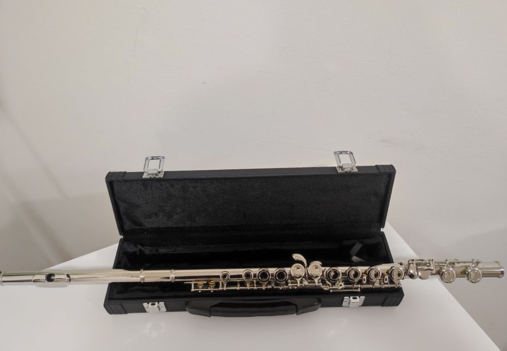 Флейта срібна/золота, кларнет