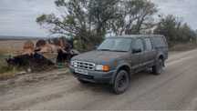 Розборка Ford Ranger 1998 2.5 форд Рейнджер пікак