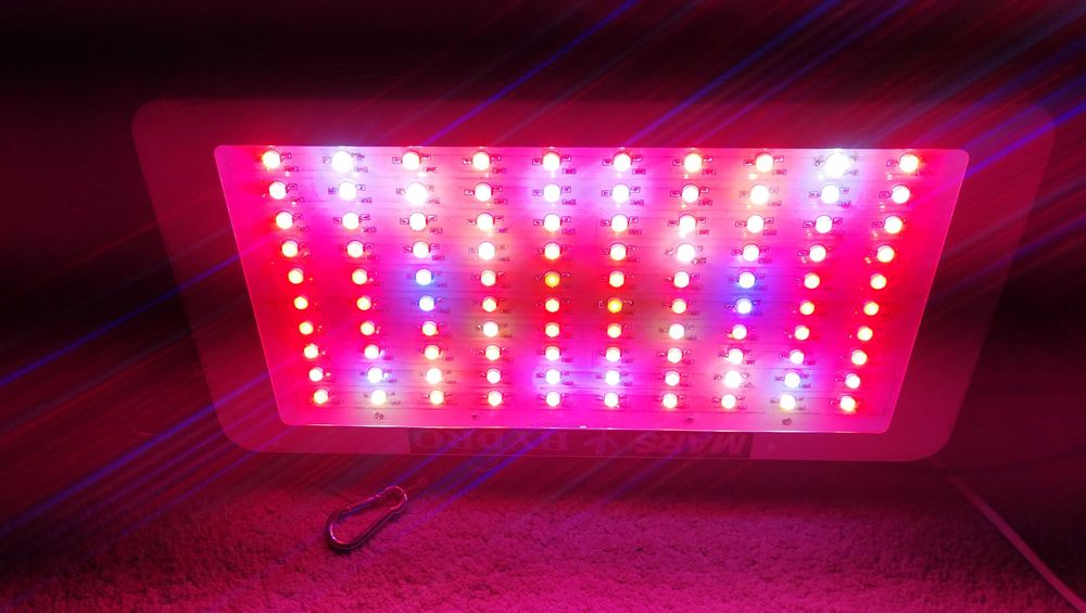 Lampy led do uprawy roślin